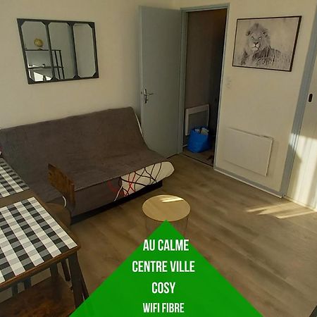 Petit Cocon Tarbais -Wifi-Parking Apartman Tarbes Kültér fotó